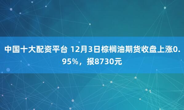 中国十大配资平台 12月3日棕榈油期货收盘上涨0.95%,报8730元