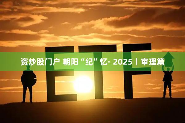 资炒股门户 朝阳“纪”忆· 2025丨审理篇