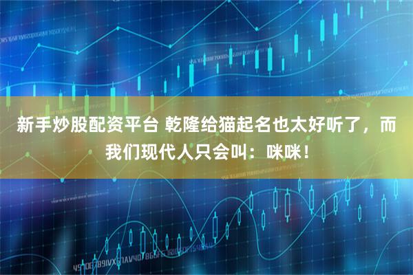 新手炒股配资平台 乾隆给猫起名也太好听了，而我们现代人只会叫：咪咪！