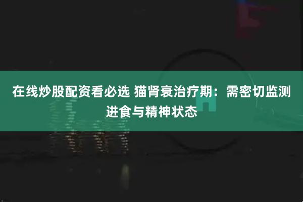 在线炒股配资看必选 猫肾衰治疗期:需密切监测进食与精神状态
