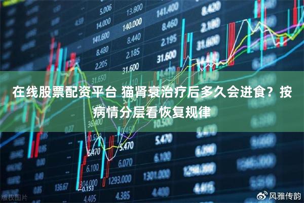 在线股票配资平台 猫肾衰治疗后多久会进食？按病情分层看恢复规律