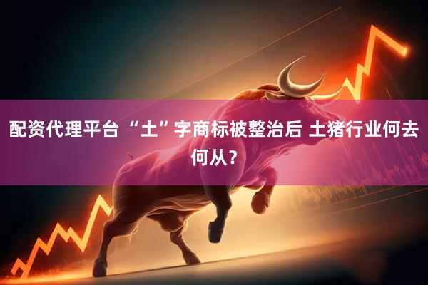 配资代理平台 “土”字商标被整治后 土猪行业何去何从？