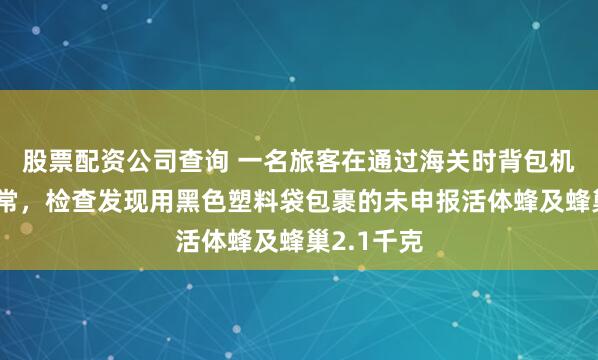 股票配资公司查询 一名旅客在通过海关时背包机检图像异常，检查发现用黑色塑料袋包裹的未申报活体蜂及蜂巢2.1千克